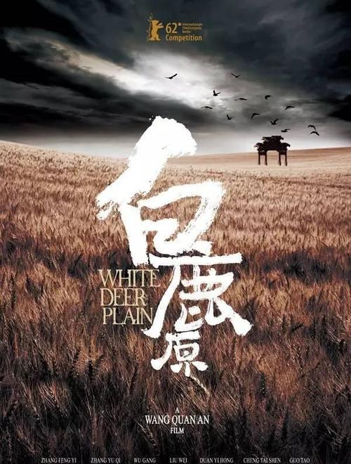 怎么买假的冰岛护照